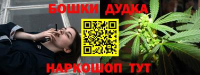 прущие крисы Новозыбков