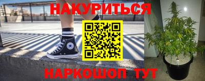 прущие крисы Новозыбков
